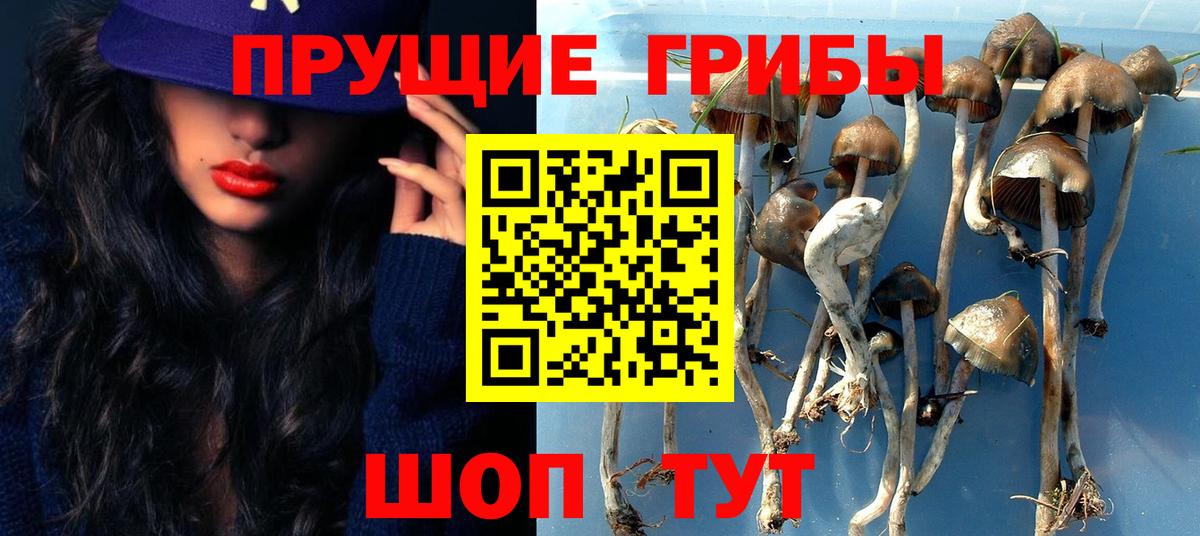 Минеральные Воды  Галлюциногенные грибы GOLDEN TEACHER  Вход с VPN  купить  цена  Псилоцибиновые грибы Psilocybe 